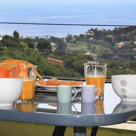 Cap Corse Uribellinu 2 Formule Petit Dejeuner Santa-Maria-di-Lota Zewnętrze zdjęcie